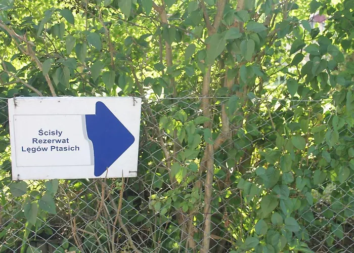 Przystanek Kaszuby Łeba